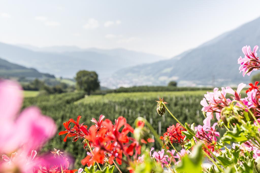 Tirolerhof Pension Natz-Schabs ภายนอก รูปภาพ